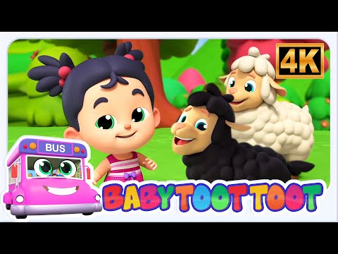 Baa Baa 검은 양 + 더 많은 동요 및 동요 | Kids Tv Korea