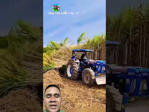 cỗ máy thu hoạch mía #agrimotor #tractor