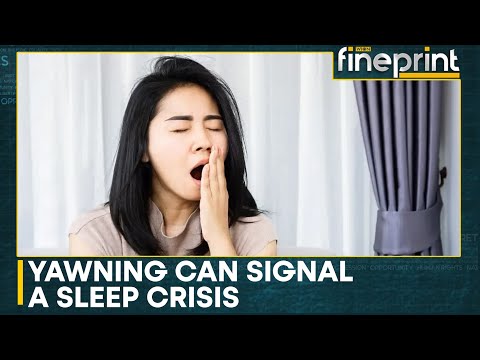 US Reports Around 100,000 Car Accidents A Year Due Drowsy Driving | WION Fineprint