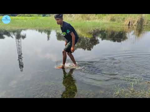 Best Hand Fishing Video 2023 😱 catching fish video #fish #best #shortsvideo #amazing #shorts