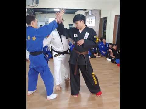 시합 시작 2초만에 하이킥으로 끝난 경기 #shorts