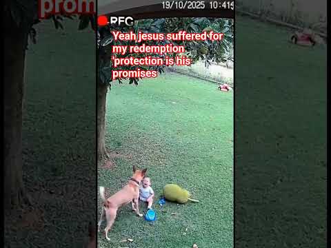 thank you Jesus for your protection #worshipmusic #gospelmusic #love #christianmusic #gospelsongs