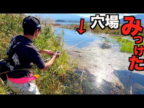 魚の穴場を見つけたのでとにかく釣ってみた!