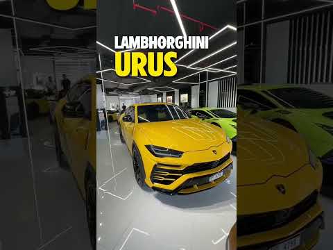 CAR FOR 4 WIFES  #supercar #dubai #ferrari #uae #lamborghini