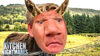 "YOU f*@$ing DONKEY!" | COMPILATION | Kitchen Nightmares