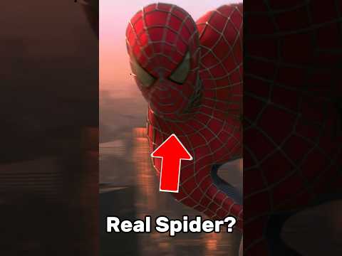 The Spider That Bit Peter Parker Was 100% Real!