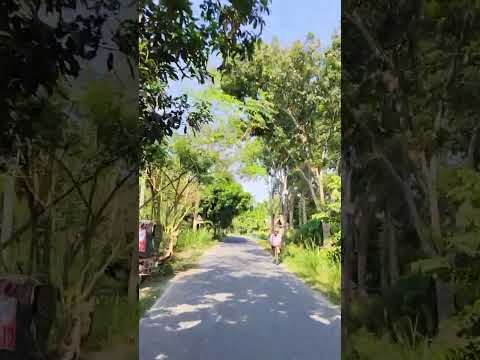 #coversong #song #music #duet #voiceeffects #love #funny #arrahman #bollywood #newsong