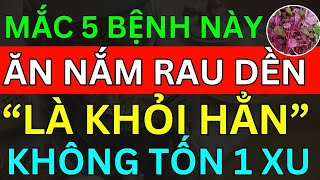 Bác Sĩ Mách MẮC 5 BỆNH NÀY CHỈ CẦN ĂN "1 NẮM RAU DỀN" Là Khỏi Hẳn Bài Thuốc Cực Hay Không Tốn 1 Xu