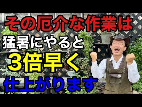 【やった人だけ得する】猛暑を利用するとこの作業が瞬く間に終わります8選　　　【カーメン君】【園芸】【ガーデニング】【初心者】