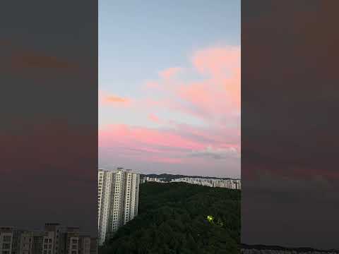 선지자 슈카이브가 목격한 하늘의 표식… <strong>청룡</strong> 그리고 봉황의 날개