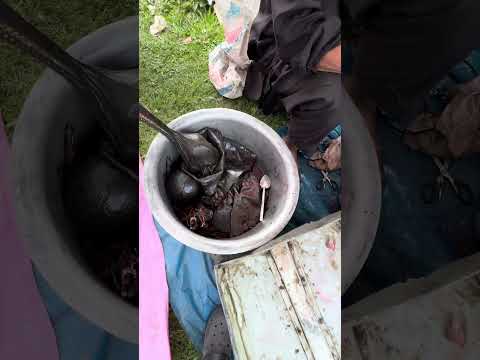 শুশুকের তেল লাগলে যোগাযোগ করুন #shorts #fishing