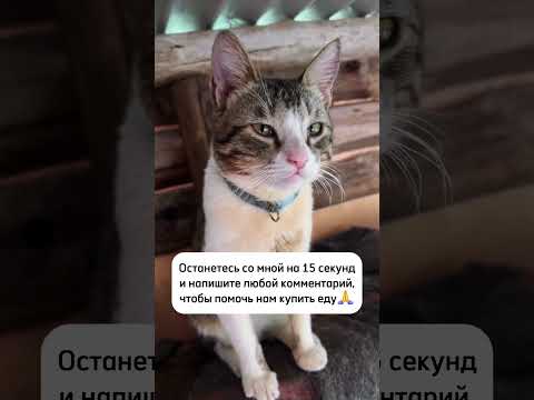 Мы очень нуждается в Вашей полдержке❗️🙏