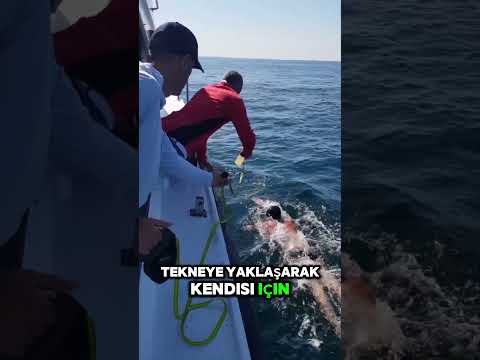 Maraton Yüzücüleri Yarış Sırasında Nasıl Besleniyor? 🏊‍♂️