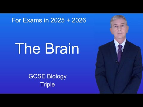 GCSE Science Biology (9-1 Triple) The Brain