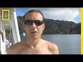 Marine Life Encountered During Diving