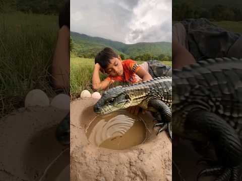 Komodo dragon enters the water 🌊🐲 #shorts #komododragon #shortsviral #shortsfeed
