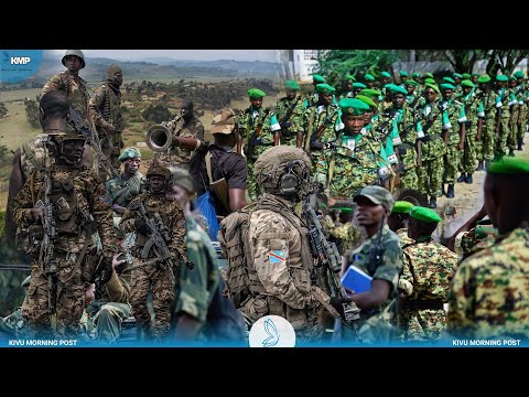 RDC-UVIRA : AFC-M23 VS ARMÉE BURUNDAISE, RÉACTION SUR L'ÉCHANGE DES PRISONNIERS