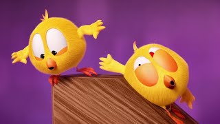 Chicky no Topo | Onde está Chicky? | Pintinha amarelinho | Coleção desenhos animados Infantil