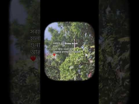 আল্লাহ আমাদের সবাইকে এই রকম come back করার তৌফিক দান করুন আমিন🥰🤲 #shorts #foryou #motivation #viral
