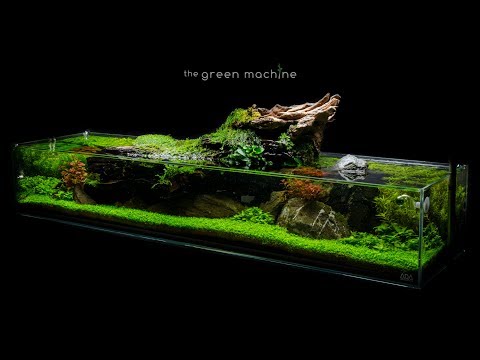 Aquascape Tutorial_ Simplicity by James Findley -  The Art of Aquascaping Book now is available to download- https_//www.thegreenmachineonline.com/aqua