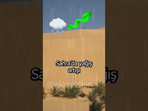 Sahra Çölü olmasaydı Amazon ormanları olmazdı 🏜️🤨