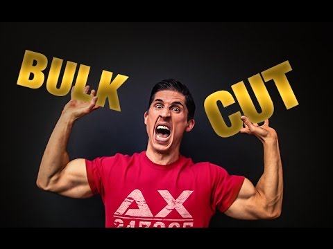Bulking | Cutting | The Truth!!
