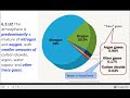 Atmospheric Dynamics and Greenhouse Effects