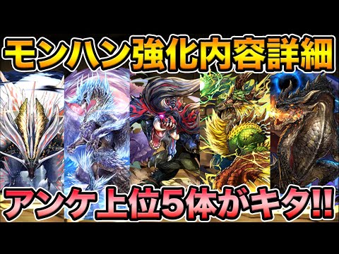 モンハン強化詳細！アンケ上位5体がパワーアップ！【スー☆パズドラ】