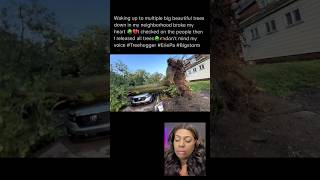 This is different/ multiple trees fell