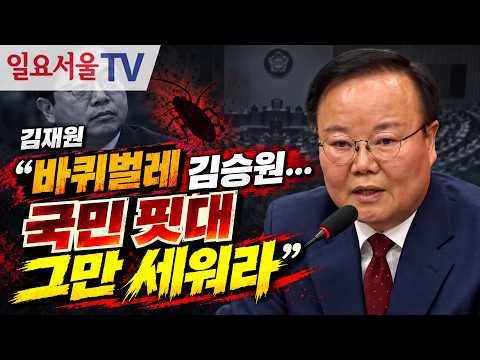 김재원 "<strong>바퀴벌레</strong> 김승원... 국민 핏대 그만 세워라"