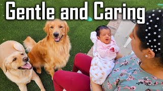 Dogs Meeting our Newborn Baby First Time | Baby's Big Brothers
