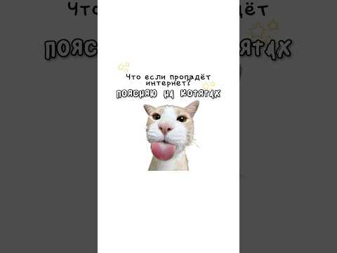 Что если пропадет интернет?