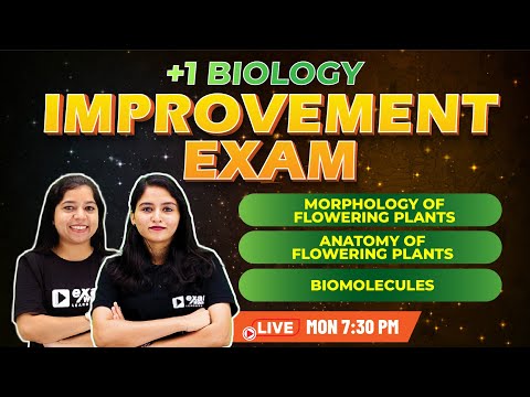 +1 Improvement Exam| Biology|Morphology of Flowering Plants/Anatomy of Flowering Plants/Biomolecules