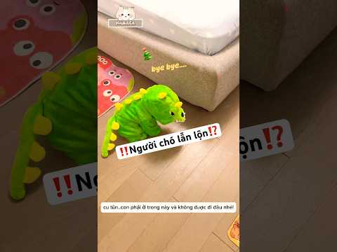 Nhằm tưởng mấy chú chó thành em cu tũn