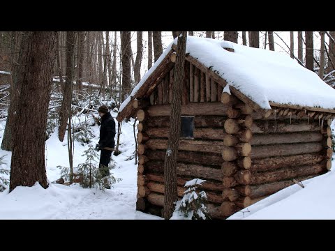 RELAXING CAMPING IN A WOODLAND CABIN. CRAFTING BIRD FEEDERS.