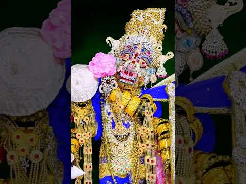 आज श्री राधा श्याम सुंदर भगवान वराह अवतार में दर्शन दिए #राधे_कृष्णा