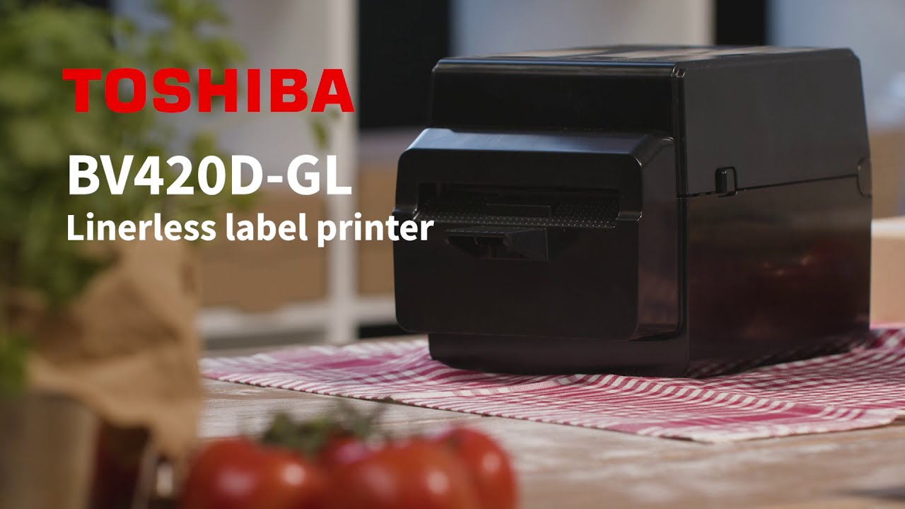 Video: TOSHIBA BV420D-GL