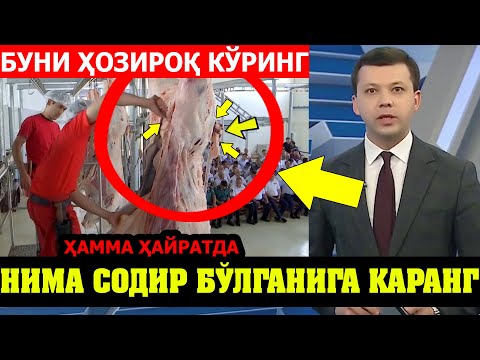 ТЕЗ КЎРИНГ! ГЎШТ ДЎКОНИДА ҚАРАНГ НИМА СОДИР БЎЛИЯПТИ...
