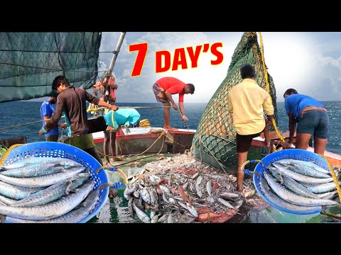 WOW 🤩 We Spent 5 Days In The Deep Sea And Caught a Lot Of Fish!" | Kadal TV