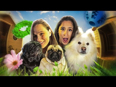 ON ECHANGE NOS CHIENS PENDANT 24H #3 feat @Pidi_meg