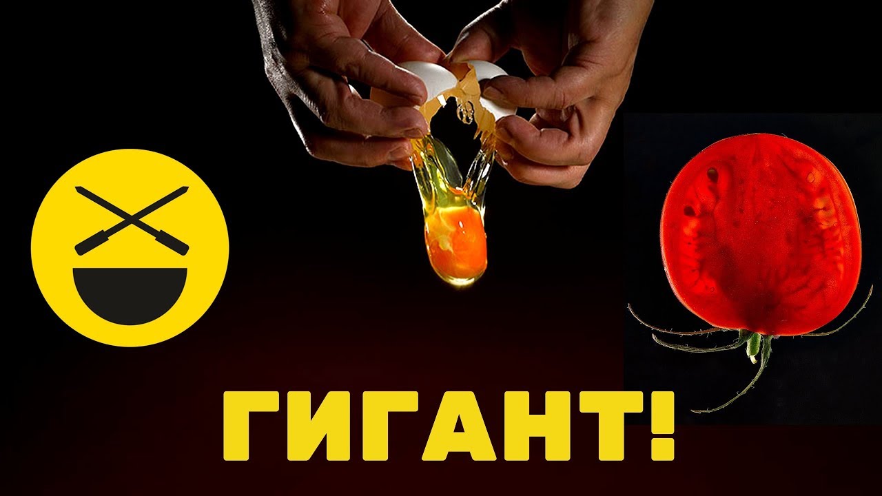 Да это не яичница! Шутит?