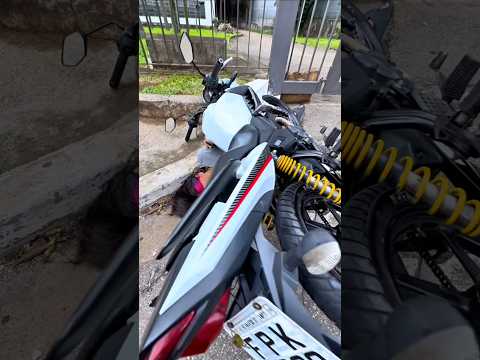 MOTO l MOTORCYCLE *fiction