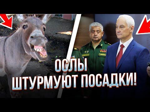 💥Ось це технології! Поки ЗСУ пускають наземні дрони, росіяни осідлали ослів! / ОШУКАНИЙ РОСІЯНИН