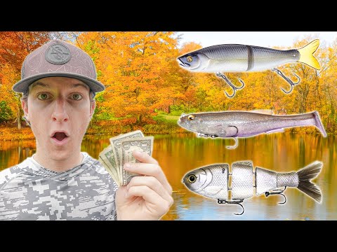 I Bought The Best BUDGET Swimbaits For BIG Bass (Insane Bite)