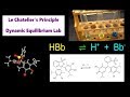 Color Changes in Chemical Reactions