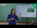 Unidades de Conservação Ambiental