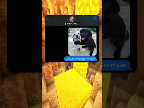 QUIEN ES TU NUEVO AMIGO? 😓🥹
