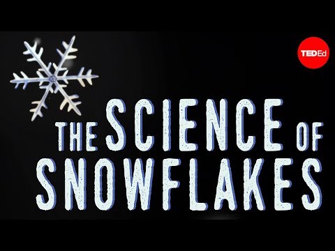 The science of snowflakes (雪花)