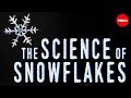 Understanding Snowflakes
