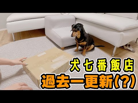 犬七番飯店の新作おもちゃで愛犬が理性を失いましたw